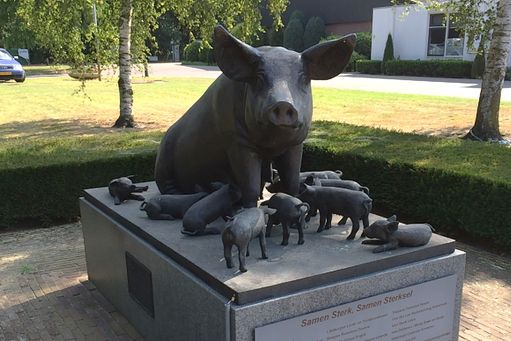 Sterksel - Het varken als bron van welvaart (2004)