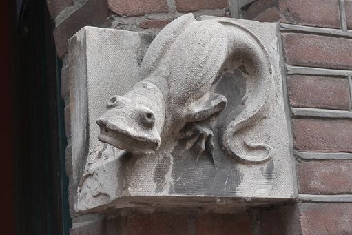 07-11 Utrecht  Kameleon
