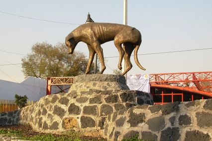 Monument al Perro Callejero (de straathond) (2008)