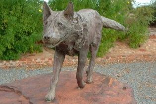 Red Dog in Australië