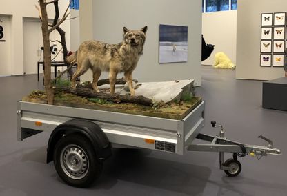 Mobile Wilderness Unit - Wolf (2006)