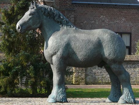 Nederlands Trekpaard (1990)